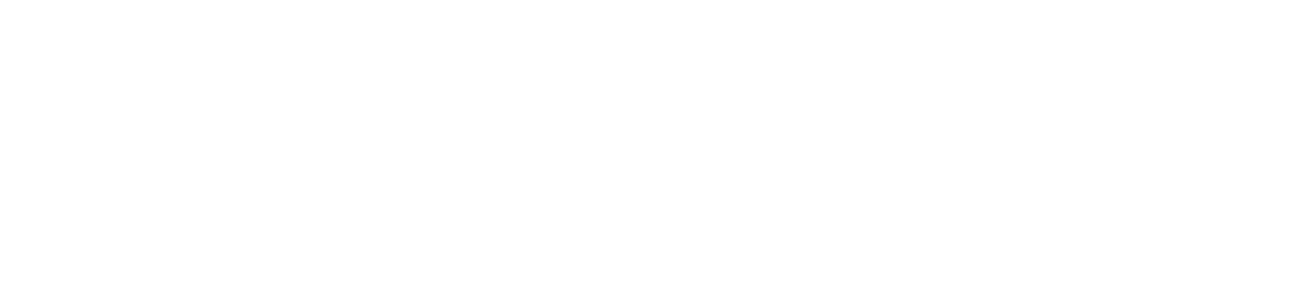 Studio 100L